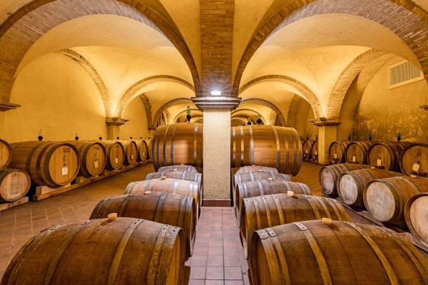 Cantina - Patrizia Cencioni